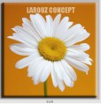 /album/photo-gallery-canvas-uri/decoratiuni-de-perete-canvas-lc-0140-jpg/